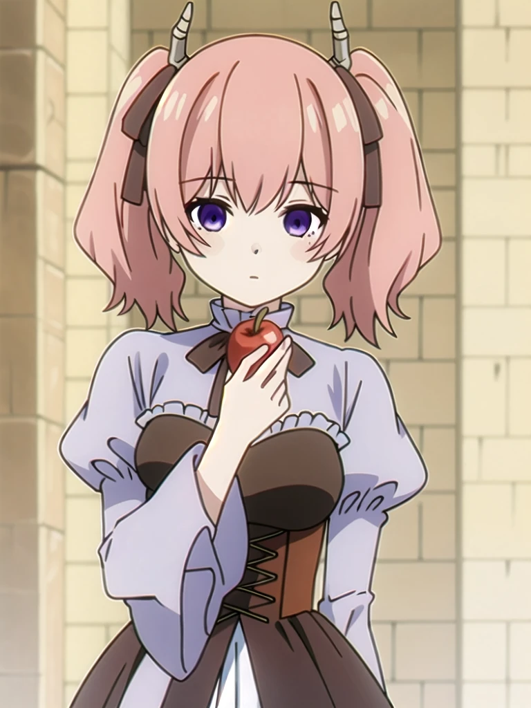 (((Best quality))),((Ultra-detailed)),((illustration)),((Disheveled hair)),((frilld)),(1 girl),
1girl,apple,bangs,black ribbon,blurry,brick wall,corset,depth of field,eyebrows visible through hair,food,fruit hair ribbon,high-waist skirt,holding,holding food,holding fruit,juliet sleeves,long hair,long sleeves,pink hair,puffy sleeves,purple eyes,red apple,ribbon,skirt,solo,twintails,two side up,upper body,