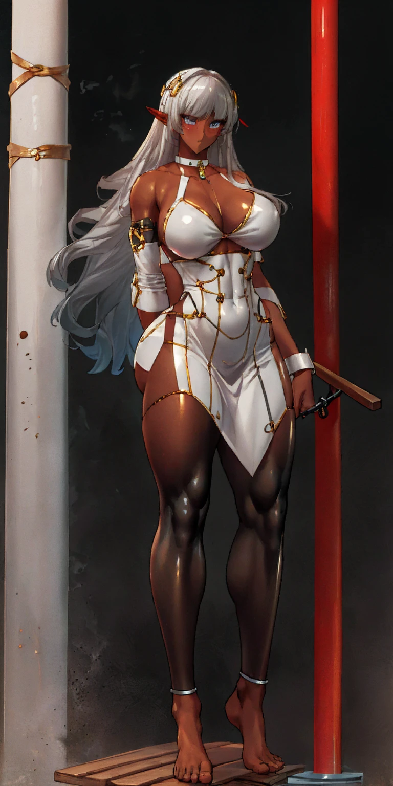 (Masterpiece, best quality, intricate details, 1sologirl) iron collar, arms behind back, iron cuffs, shackles, leather collar choker neck bell, bound ((standing by wooden pole:1.2)) ((female Black Dark skin Gyaru)) show entire body frontal position, feet in view, realistic, gorgeous 16y.o. darkest skinned mixed race female, black African, transparent black pantyhose, legs open, museum,barefoot no shoes, looking to viewer straight symmetrical, white silver long hair