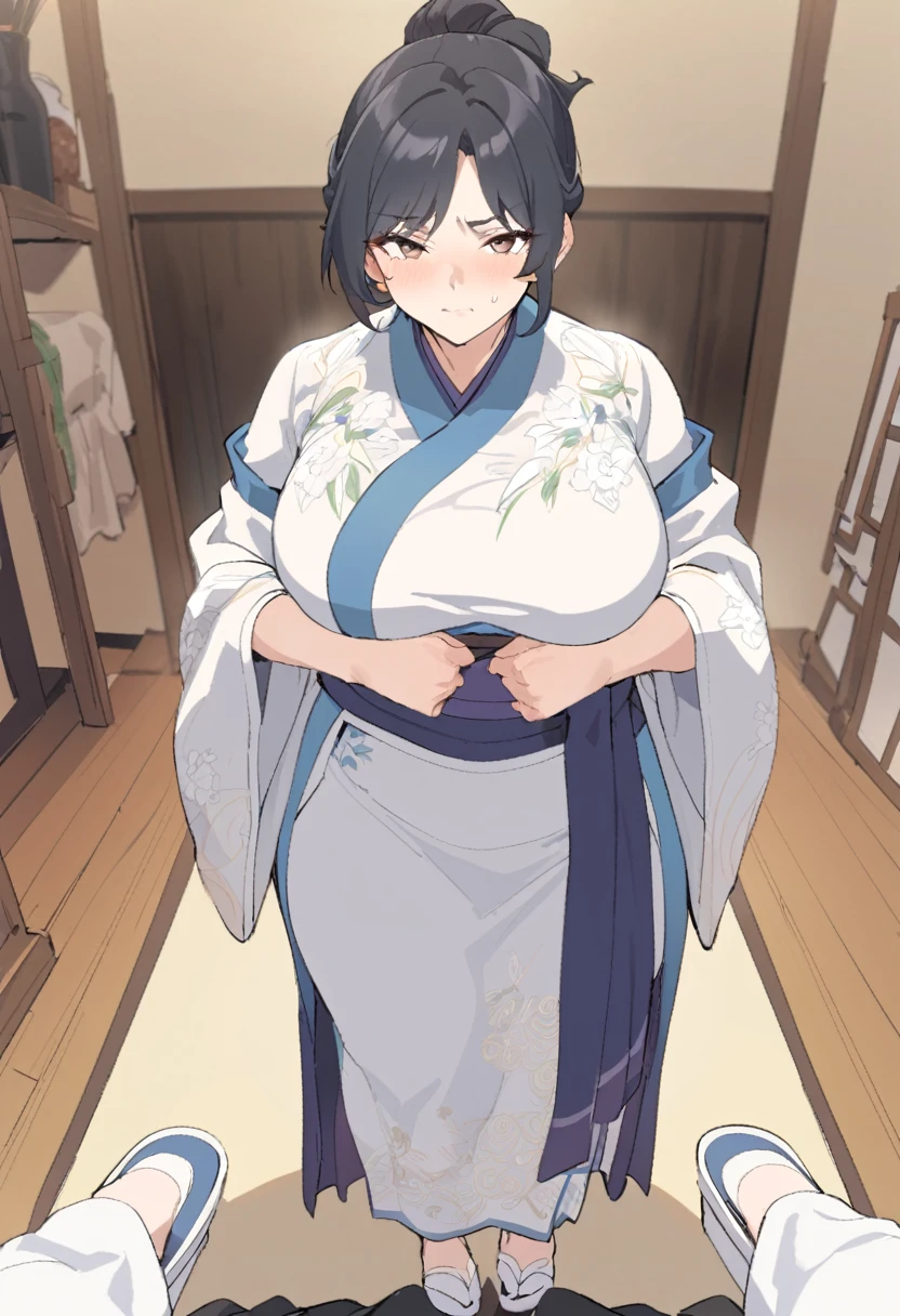 {{full body}} {{Artist: sincos}} 1girl, mature female, black hair, hair tied in a updo, brown eyes, long lashes, curvy figure, blue aoqun hanfu, white silk stockings, white embroidered silk slippers, composed face, indoors, standing, pov