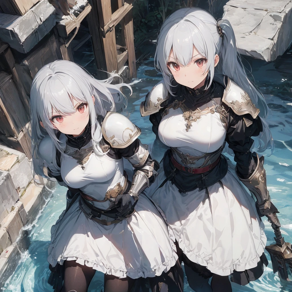 two female knightgirls in armor with swords and capes, inspired by Li Chevalier, female knightgirl, girl in armor, female protagonist 👀 :8, bravely default inspired, iron white lock, pale black armor, knightgirls of zodiac girl, glossy white armor, never loved, of a beautiful female knightgirl, female champion, high-quality character design, (((knightgirl)))