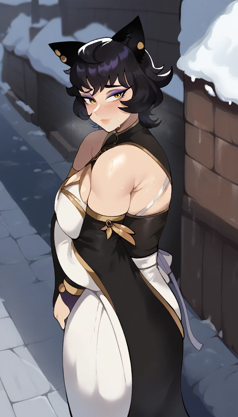 score_9, score_8_up, score_7_up,
mature female,
kali belladonna, large breast,
snowy street,
nyong_nyong,
from above, from side
standing with arms crossed,
cold