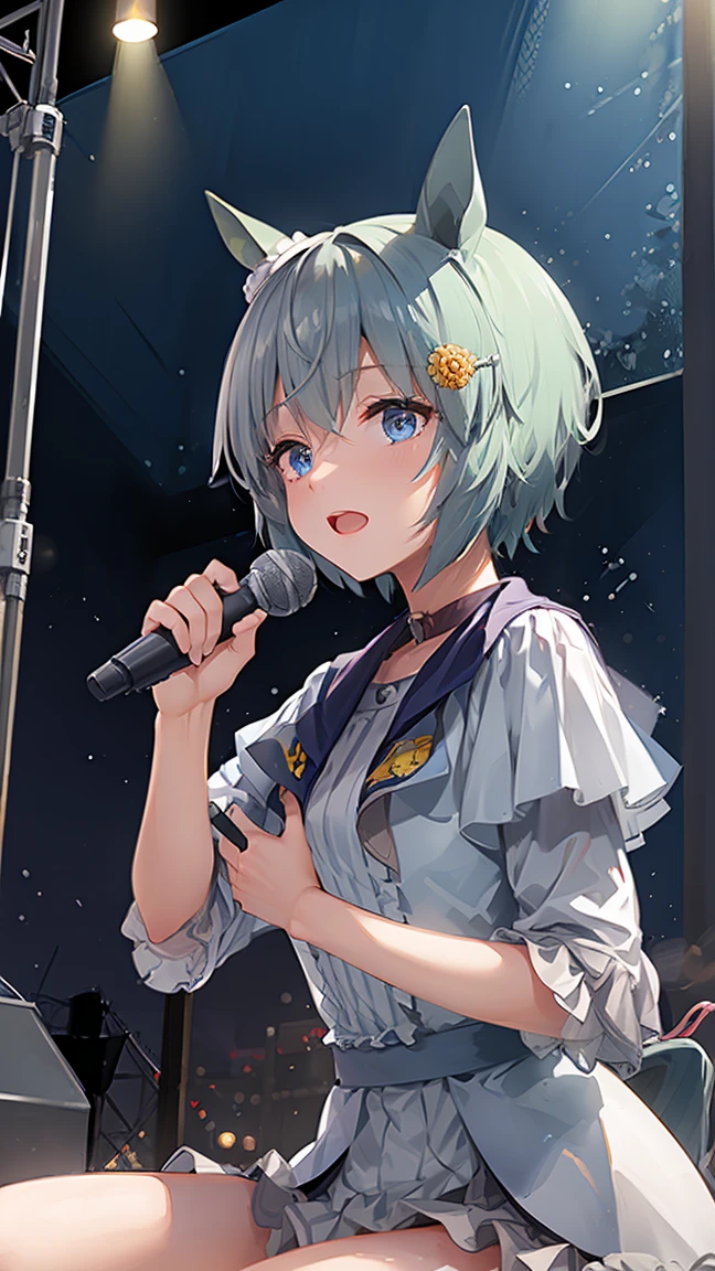 masterpiece, Highest quality, High resolution, Very detailed,(((Seiun Sky))), (((Holding a microphone))), stage, heavy rain