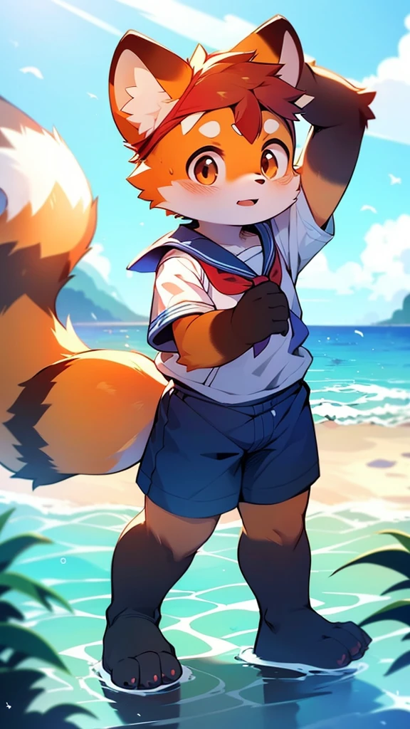 Red Panda Uncle,Ocean,Sailor suit,Pants bulge
