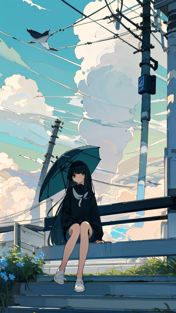 masterpiece, Exquisite detail,Highest quality, One girl, alone, handrail, cloud, Sitting, Outdoor, whale, Long Hair, shoes, null, Long sleeve, sneakers, Power lines, White footwear, Black Hair, View your viewers, Electric pole, bangs, cloudy null, fish, bird, Green Eyes, Shorts, animal, Day, Black Shirt, barefoot