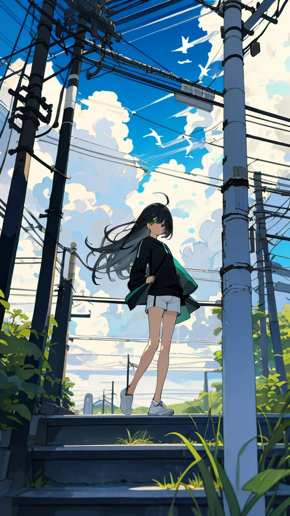 masterpiece, Exquisite detail,Highest quality, One girl, alone, handrail, cloud, 立ってzeroを見上げている,Long Hair, shoes, zero, Long sleeve, sneakers, Power lines, White footwear, Black Hair, View your viewers, Electric pole, bangs, cloudy zero, fish, bird, Green Eyes, Shorts, animal, Day, Black Shirt, barefoot