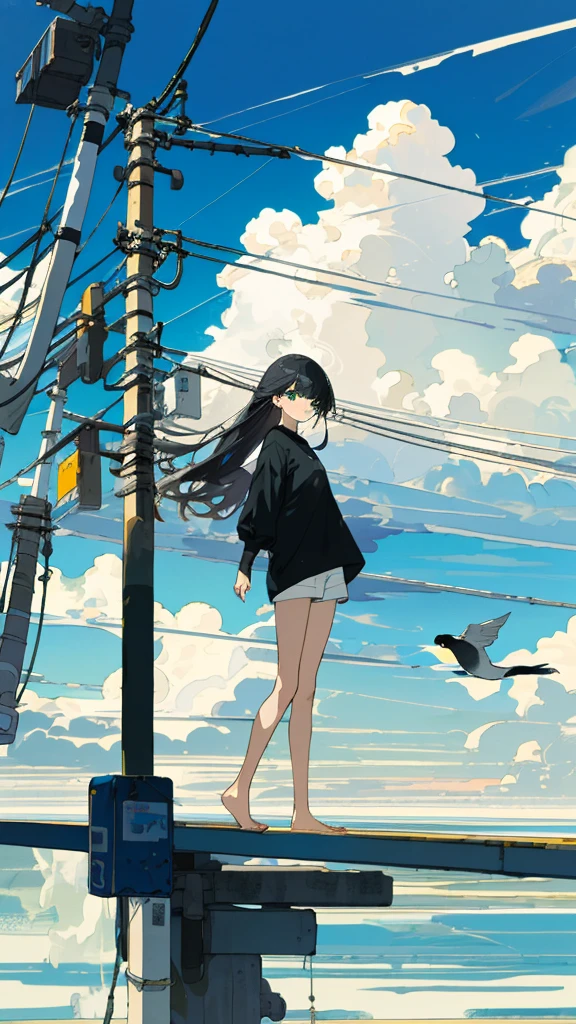masterpiece, Exquisite detail,Highest quality, One girl, alone, handrail, cloud, 立ってzeroを見上げている,Long Hair, shoes, zero, Long sleeve, sneakers, Power lines, White footwear, Black Hair, View your viewers, Electric pole, bangs, cloudy zero, fish, bird, Green Eyes, Shorts, animal, Day, Black Shirt, barefoot