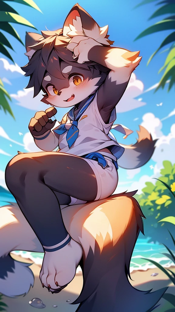 Raccoon Boy,Sailor suit