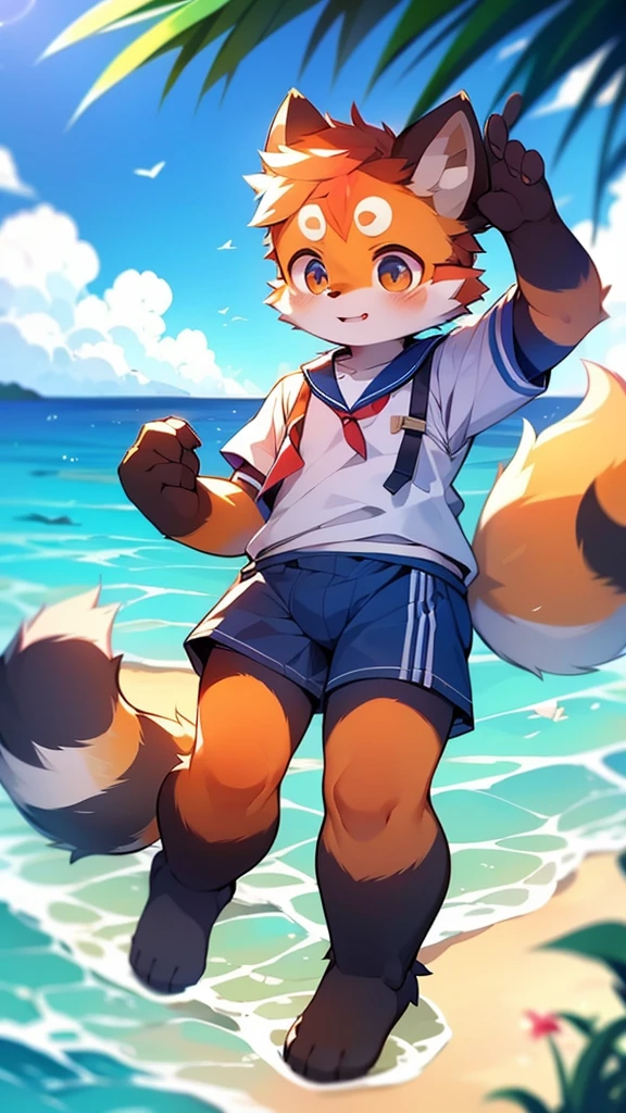 Red Panda Uncle，Ocean，Sailor suit