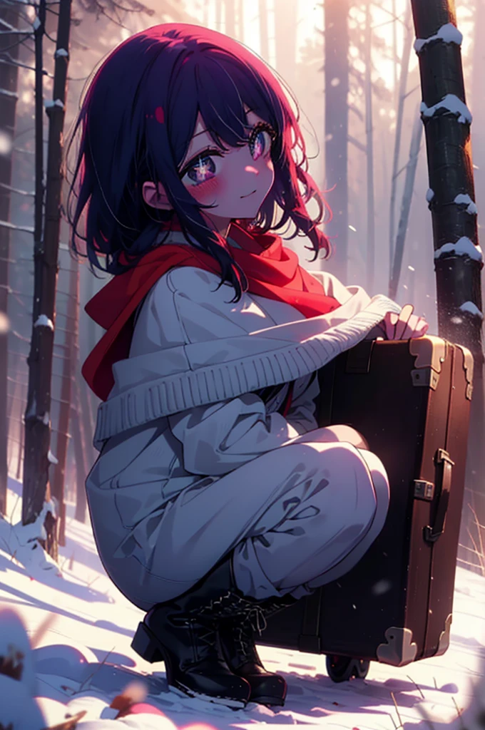 aihoshino, Ai Hoshino, Long Hair, bangs, (Purple eyes:1.1), Purple Hair, (Symbol-shaped pupil:1.5), smile,,smile,blush,White Breath,
Open your mouth,snow,Ground bonfire, Outdoor, boots, snowing, From the side, wood, suitcase, Cape, Blurred, , forest, White handbag, nature, Squat, Mouth closed, Cape, winter, Written boundary depth, Black shoes, red Cape break looking at viewer, Upper Body, whole body, break Outdoor, forest, nature, break (masterpiece:1.2), Highest quality, High resolution, unity 8k wallpaper, (shape:0.8), (Beautiful and beautiful eyes:1.6), Highly detailed face, Perfect lighting, Extremely detailed CG, (Perfect hands, Perfect Anatomy),