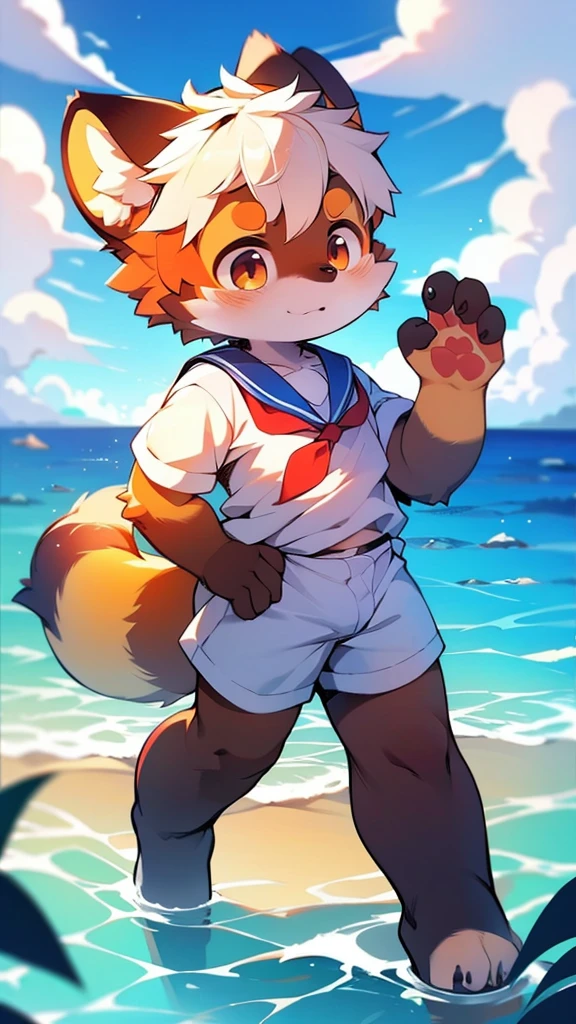 Red Panda Uncle,Ocean,Sailor suit