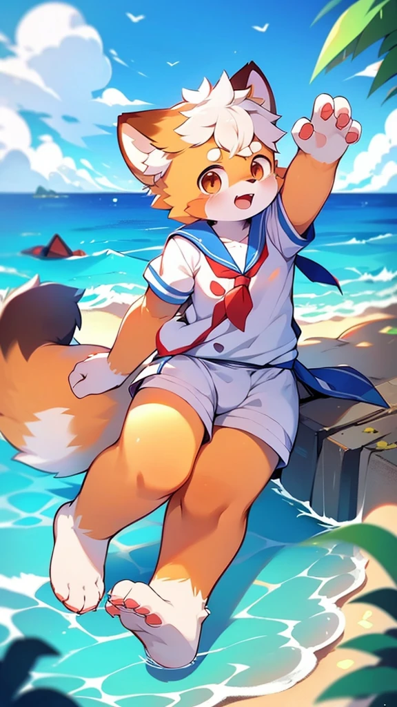Red Panda Boy,Ocean,Sailor suit,