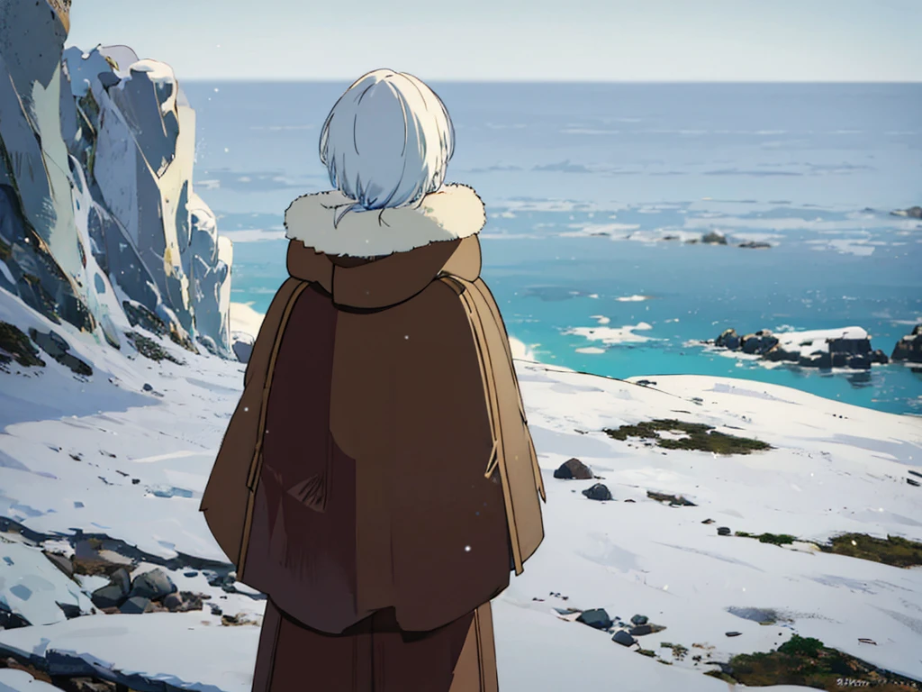 Fushi in the tundra with snow, from behind fushi, from his back, looking at the horizon