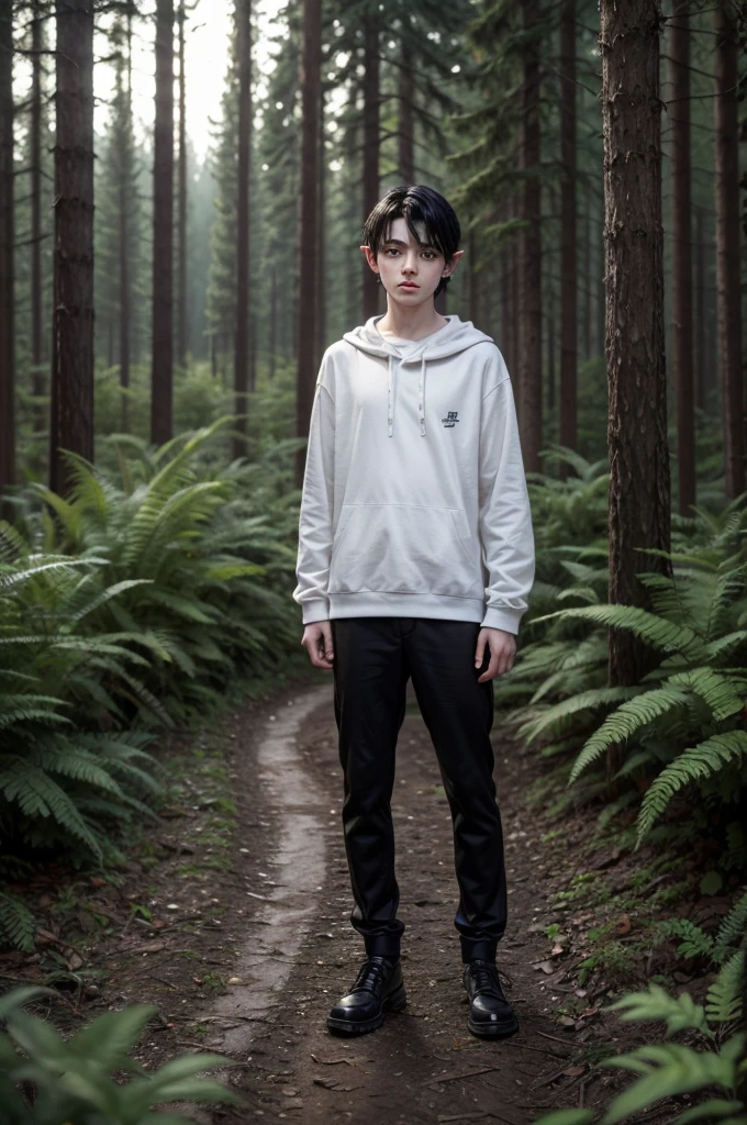 Realistic hyper detail, photo real, full body, HD image: Elf boy, 16 years old, heterochromia, black hair, forest at night.