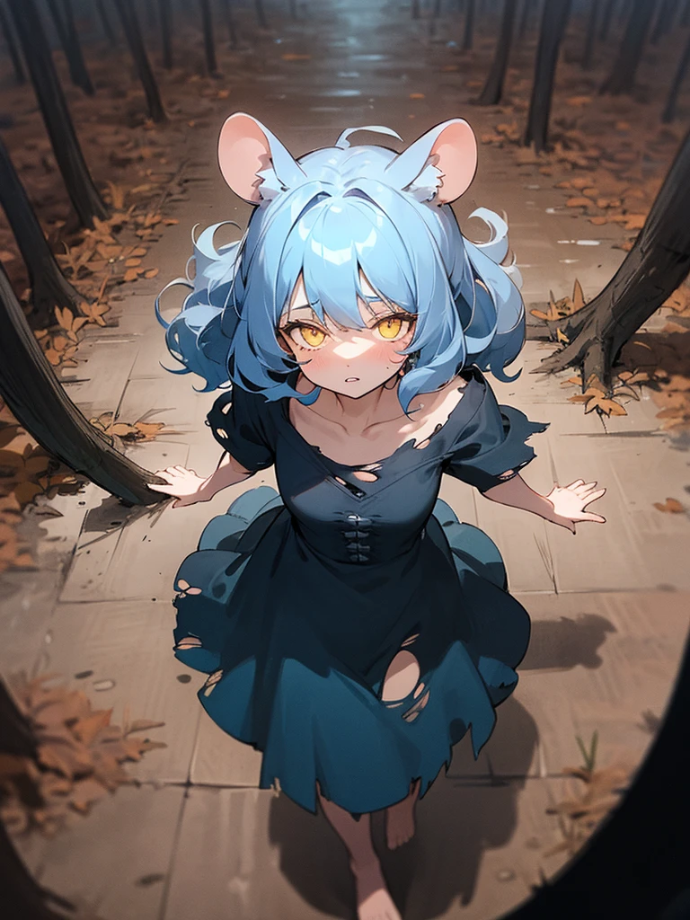 (best quality:1.5), dimmed color, (darkness:1.5), (night:1.3), (silhouette:0.1), 1girl, solo, smaller female, yellow eyes, glowing eyes, Indigo blue hair, messy hair, wavy hair, hair over eyes, half closed eyes, parted lips, brown clothhes, (torn clothhes:1.2), rat ears, rat tail, collarbone, barefoot, (walking:1.1), looking up, (shoot from above:1.2), listless, downer, (dark forest:1.2), (rain1.2), puddle