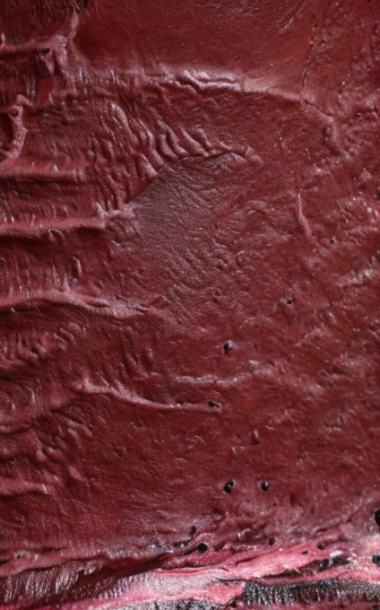 A segment of flesh is covered by an intricate system of veins and arteries, red, pink and pale violet dominant colours, masterpiece, super detailed, 4k resolution, 3d modelling, digital art