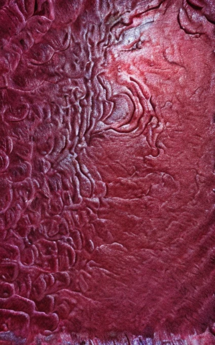 A segment of flesh with a bleeding wound, red, pink and pale violet d, masterpiece, super detailed, 4k resolution, 3d modelling, digital art