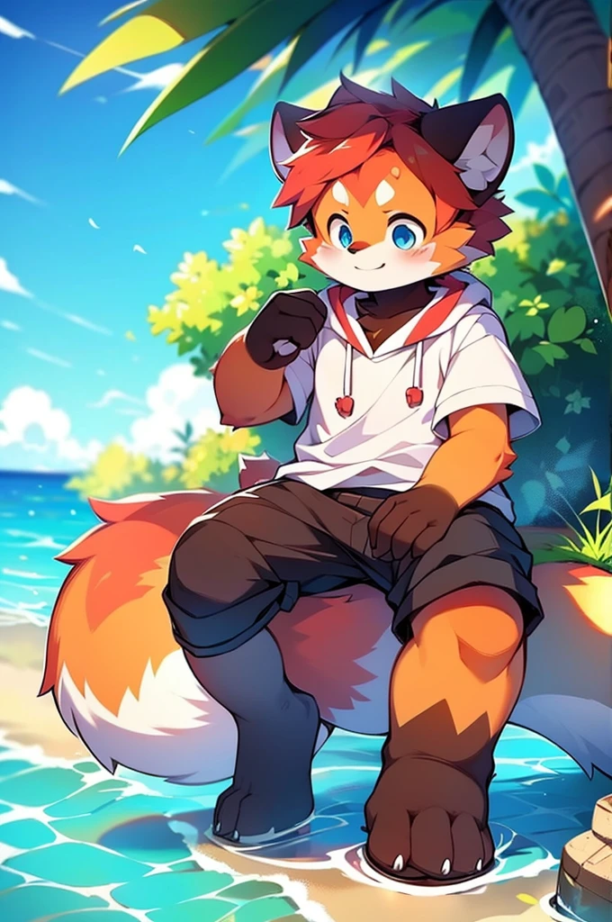Red Panda Boy,Ocean,One person,