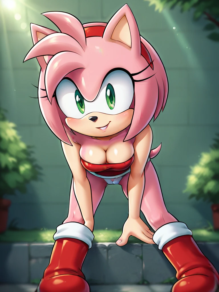 score_9, score_8_up, score_7_up, score_6_up, score_5_up, score_4_up, amy rose, (behind view), (ass focus) (2D anime style), anthro furry, pink fur, green eyes, small tail, medium breasts,  strapless, (cute red short dress), (red boots), (pantyshot), (cute white panties), (cameltoe), bare feet, bare hands, sexy curves, big head, (solo), standing, bending over, seductive pose, looking at viewer, seductive stare, (green park background), sunrays