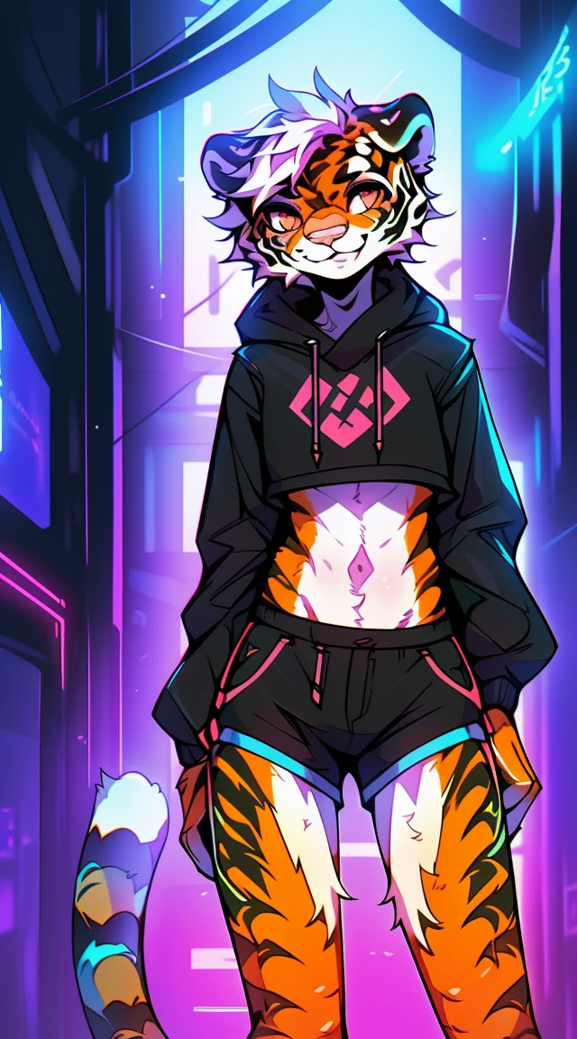 (Fluffy tiger:1.5), (1 character:1.4),author: spuydjeks, , slim, skinny, small waist, high detail, Detailed art style, (sly smile:1.4), Thick hair, , short shorts, full length, Perfect body, (1 boy:1.5), (Body like a girl:1.4), Cyberpunk, , leg braces, in a sweatshirt, fluffy ears and tail