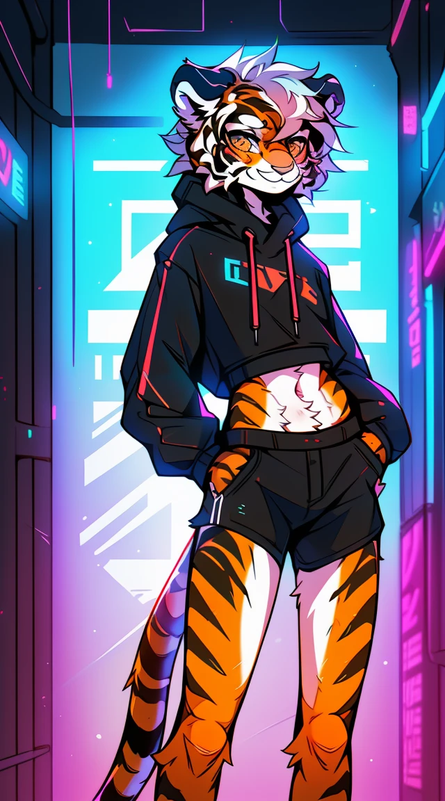 (Fluffy tiger:1.5), (1 character:1.4),author: spuydjeks, , slim, skinny, small waist, high detail, Detailed art style, (sly smile:1.4), Thick hair, , short shorts, full length, Perfect body, (1 boy:1.5), (Body like a girl:1.4), Cyberpunk, , leg braces, in a sweatshirt, fluffy ears and tail