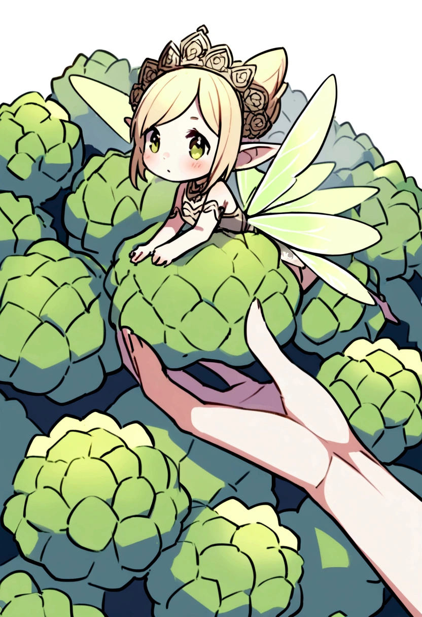 a cute fairy flying over a pile of Cauliflowers, holding one Cauliflower on her hand