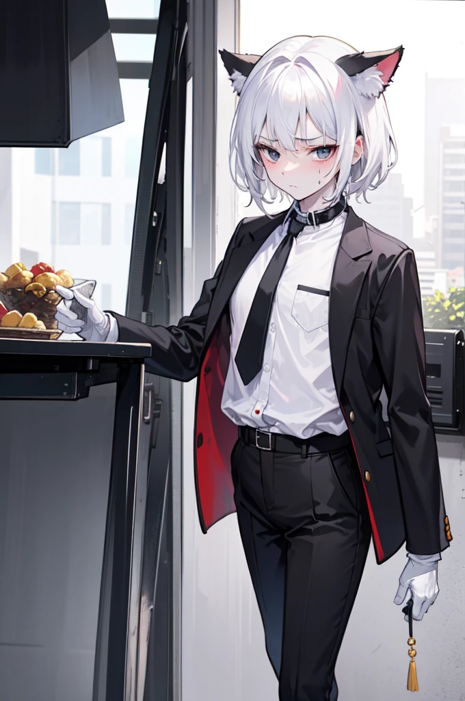 A 18-year-old boy, white and tender skin, cute, wearing white long-sleeved shirt, black jacket and black work tie, black trousers, black booties, white gloves, collar, white hair,wear cat ears, black eyes, thin waist, thin legs, handsome, disdainful and indifferent expression, shy, blushing, afraid, sweating, tired, pornography, Pornographic action