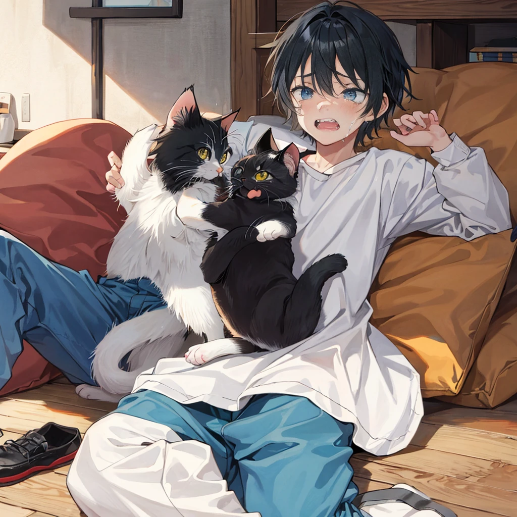 Ugly cat crying because a kitten made fun of him and rejected him