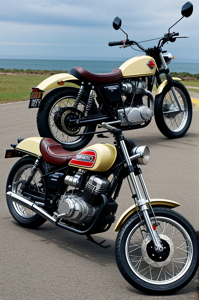 Suzuki gn 250 chopper