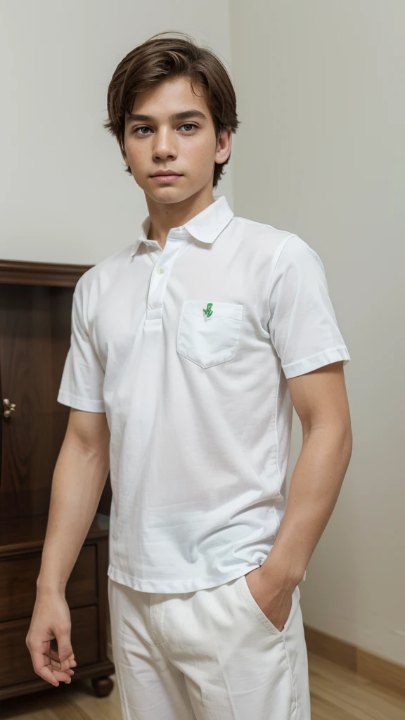 (masterpiece, best quality), ( ultra detail),,(nice pose) 1boy, Talk, Indoor , ,,White shirt,,In room ,,
portrait , green eye color, white background