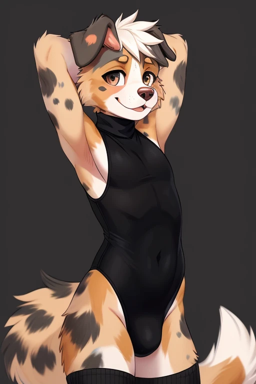 ((SFW)) ((18, cute, furry, Australian Shepherd dog boy femboy wearing a black sleeveless turtleneck leotard with a bulge, and black thigh-high socks, best quality)) ((hands behind head))