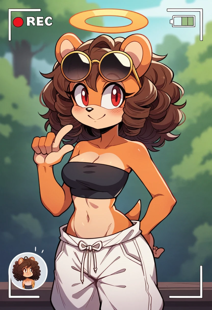 mobian, solo, hedgehog, two-tone fur ((orange fur, brown fur)), strapless crop top, baggy pants, cleavage, two-tone hair (brown hair, black tip)), curly hair, halo, sunglasses, jewelry, red eyes, longeyelashes, red eyes, smile, shy, blush, framed, stereogram, image fill, viewfinder, depth of field, high details, high detail, masterpiece, UHD, anatomically correct, super detail, highres, 4K