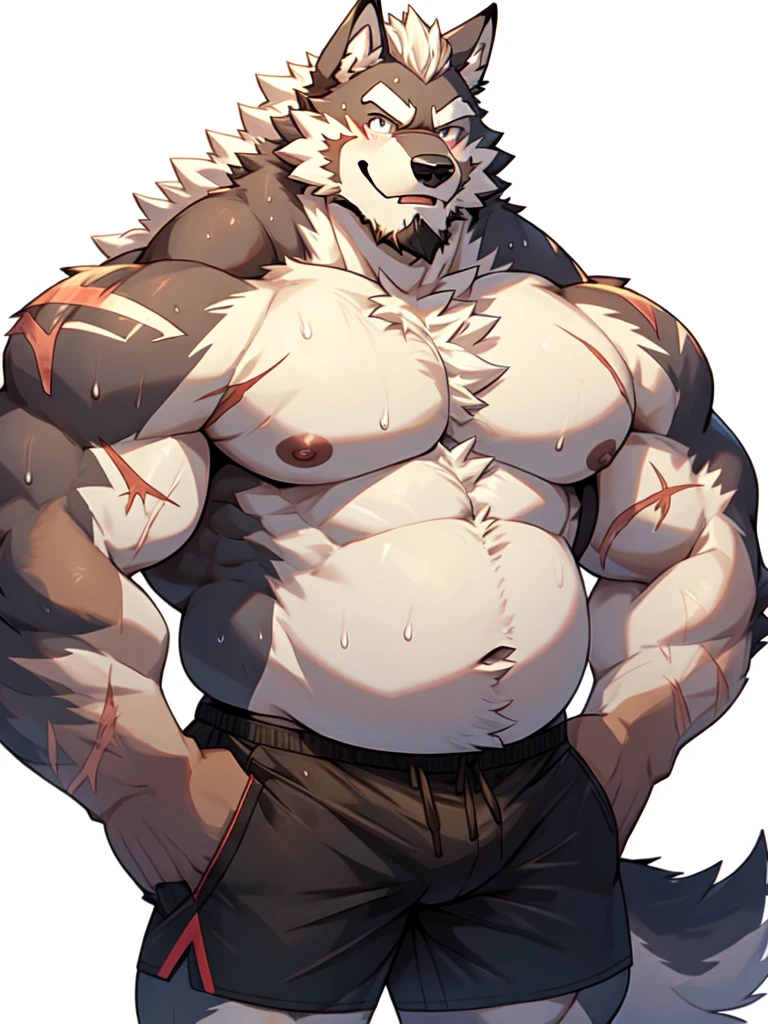 4k, high resolution, best quality, masterpiece, perfect shadows, front view, furry, solo, muscular, big muscles, beard, long white hair, wolf, male, adult, masculine, strong man, belly, chubby, shirtless shorts briefs, belly, , sweat, looking at viewer, shy, blushing smiling, happy, hands on hips((correct anatomy)), huge scars on body, white background