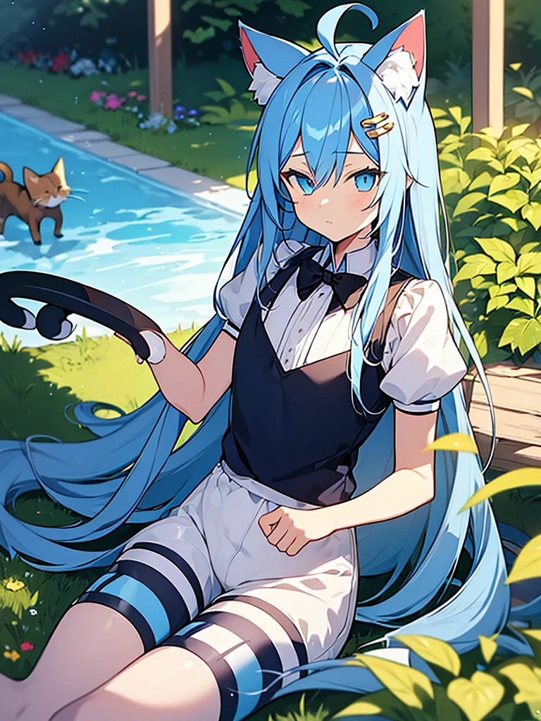 1cat boy, androgynus body, cat ears, cat tail, long blue hair, cat hair hair clip, blue eyes, serene face, blue top, white shorts, long white stockings, big ass, garden background