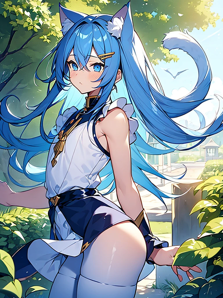 1cat boy, androgynus body, cat ears, cat tail, long blue hair, cat hair hair clip, blue eyes, serene face, blue top, white shorts, long white stockings, big ass, garden background