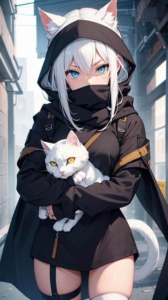 work of art, best qualityer, high resolution, 1 girl, synonym 1, scarf, mitts, ninja mask, long sleeves, short, White hair, white cat ears, white cat handle, roupas de rogue, thigh strap, holding, holding faca, ruins, heterochromia, yellow eye, blue eye, hooded cloak, rogue, ninja