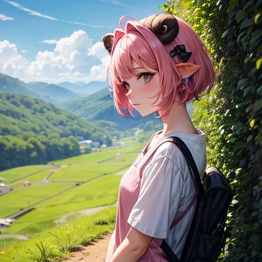 One girl, animal_ear, Slope, Slope_background, green_background, Looking_in_Audience, pink_hair, Solo by JM Farm with sheep