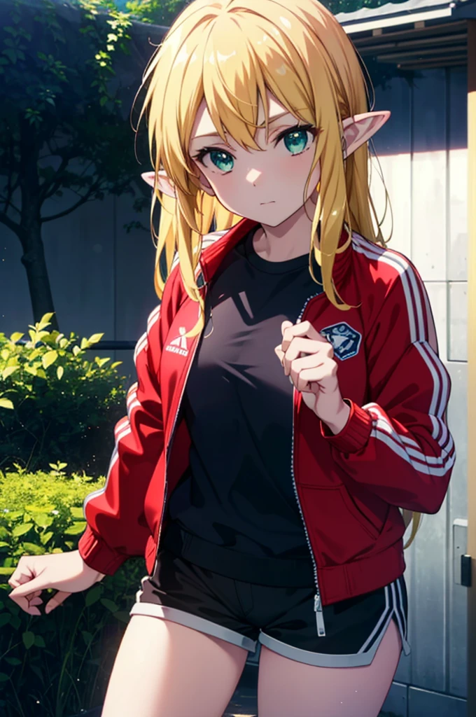 Suguhakirigaya, Suguhakirigaya, Long Hair,Blonde Hair,Green Eyes,Pointed Ears,
break jacket, Shorts, short Shorts, blue Shorts, Track jacket, dolphin Shorts, gym Shorts, (Red jacket:1.2), shirt, (black shirt:1.2),
break outdoors, nature, forest, sun, null,
break looking at viewer, (Cowboy Shot:1.5),
break (masterpiece:1.2), Highest quality, High resolution, unity 8k wallpaper, (figure:0.8), (Beautiful attention to detail:1.6), Highly detailed face, Perfect lighting, Highly detailed CG, (Perfect hands, Perfect Anatomy),