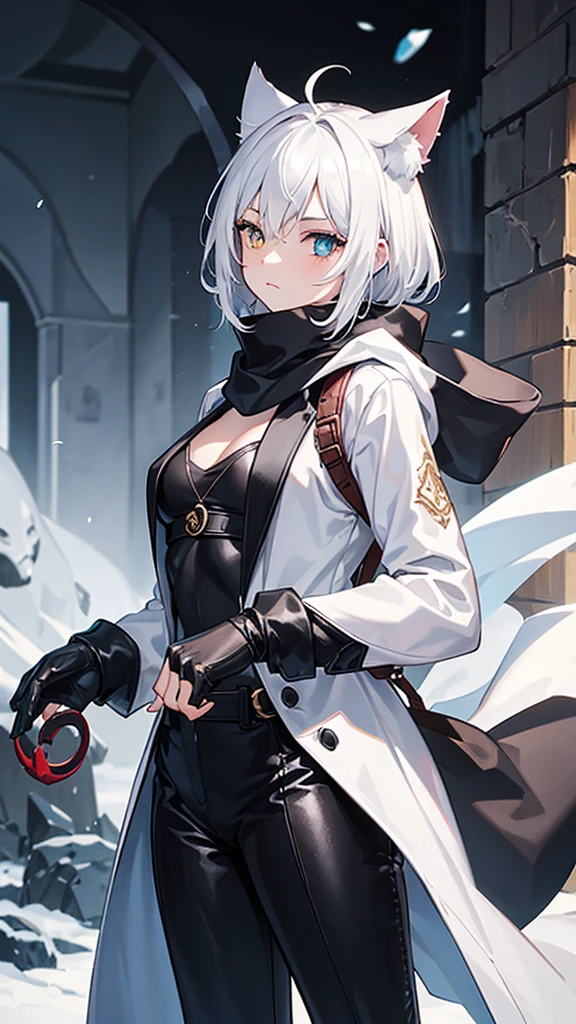 work of art, best qualityer, high resolution, 1 girl, synonym 1, scarf, short hair, mitts, ninja mask, long sleeves, leather pants, White hair, Cat's ears, cat tail, roupas de rogue, leather pants, holding, holding faca, heterochromia, yellow eye, blue eye, 14 eyes old, hooded cloak, rogue rpg, rpg, ninja, ruins, medioval