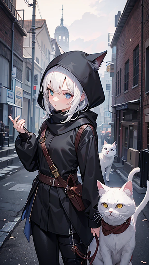 work of art, best qualityer, high resolution, 1 girl, synonym 1, scarf, short hair, mitts, ninja mask, long sleeves, leather pants, White hair, Cat's ears, white cat tail, roupas de rogue, leather pants, holding, holding faca, heterochromia, yellow eye, blue eye, 14 eyes old, hooded cloak, rogue rpg, rpg, ninja, ruins, medioval