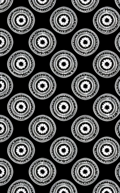 6×6×6, he's back from the dead, black, reddish grey ,red,dark grey and black blue, abstract art, digital art