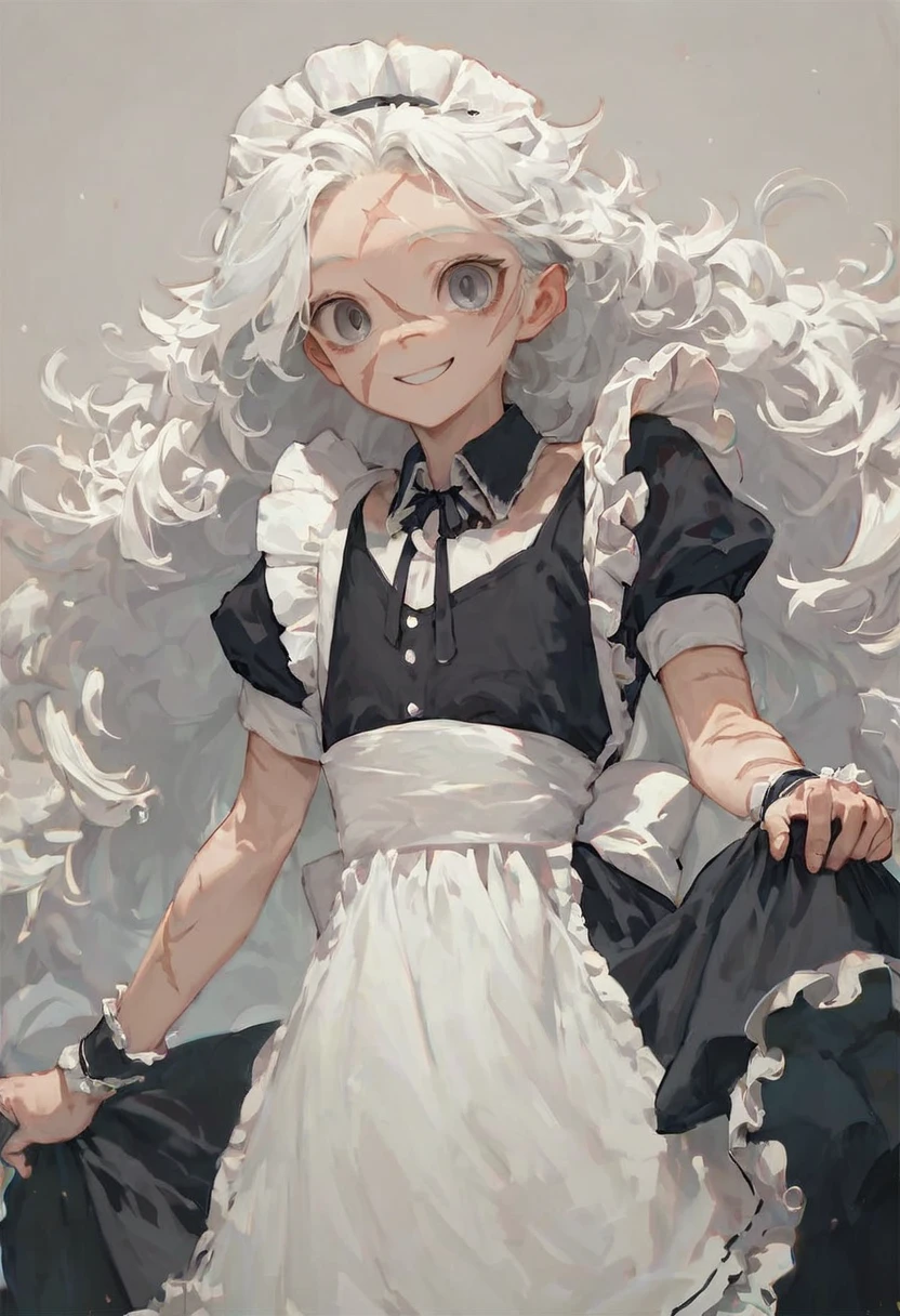 score_9,score_8_up,score_7_up,masterpiece, best quality, cute girl, very light skin, white hair, extremely long hair, grey eyes, extremely detailed eyes, happy, smiling, cute smile, flat chested, tall, standing, maid, maid outfit, scar under right eye, empty background