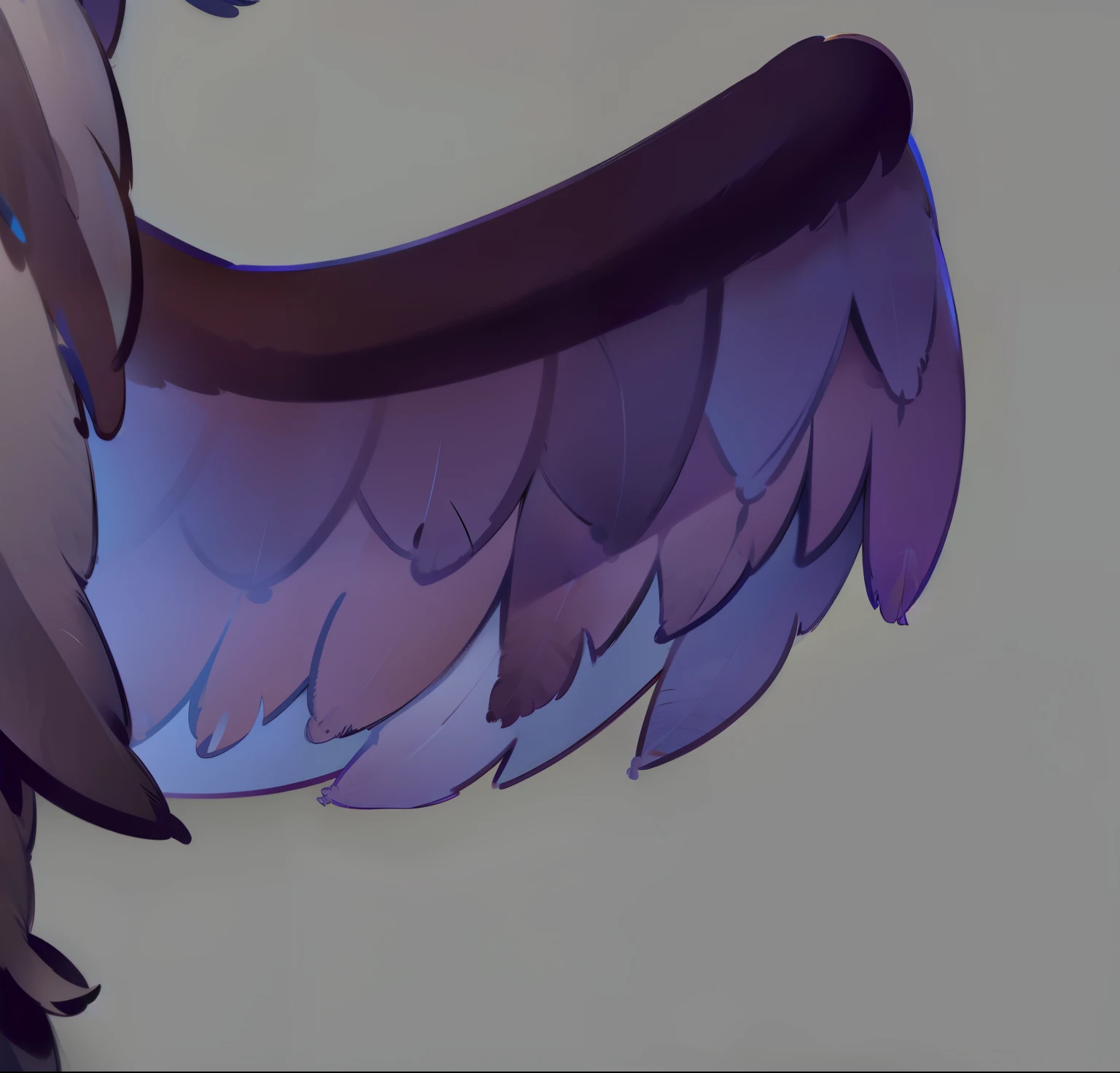  Feather wing material hair texture feather detail HD