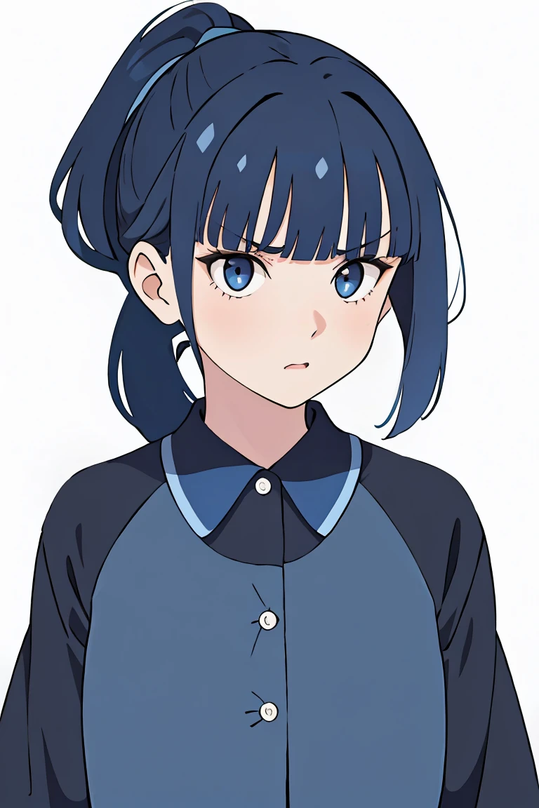 1girl, blunt bangs, low ponytail, big eyes, dark blue hair, serious