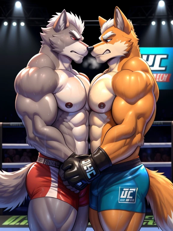 Duo male(Fox Mcloud vs Wolf O'donnell, handsomes, Thick eyebrows), gay(Necks embraced, cuddling, hot abs frottage, face to face, on a UFC match), hot(Shirtless), handsomes(They are handsomes, correct anatomy), musculosos(Big muscle bodies, Six packs, muscle abs, big pecs, muscle backs, muscle legs), sweaty(very sweaty wet bodies, shiny sweat), tatuajes(they have tattoos), Grumpy(Both have an grumpy expression, growling, grumpy teeths, steaming breath), UFC gloves(They both are wearing UFC gloves), UFC boxers(They both are wearing UFC boxers), Hight resolution, by(Zourik:1.1)
