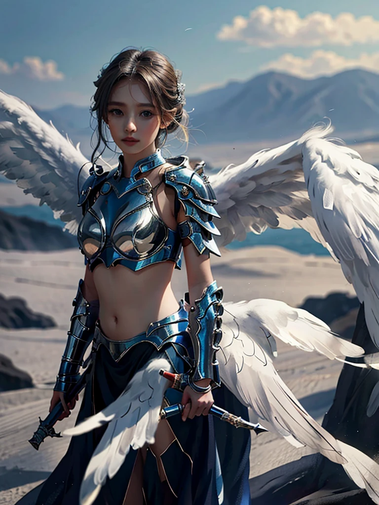 1 girl，wings，the angel's wings，armor