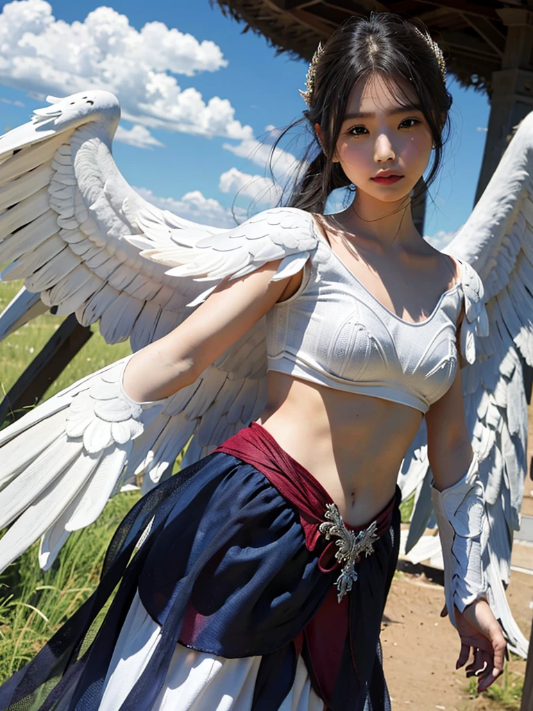 1 girl，wings，the angel's wings，armor