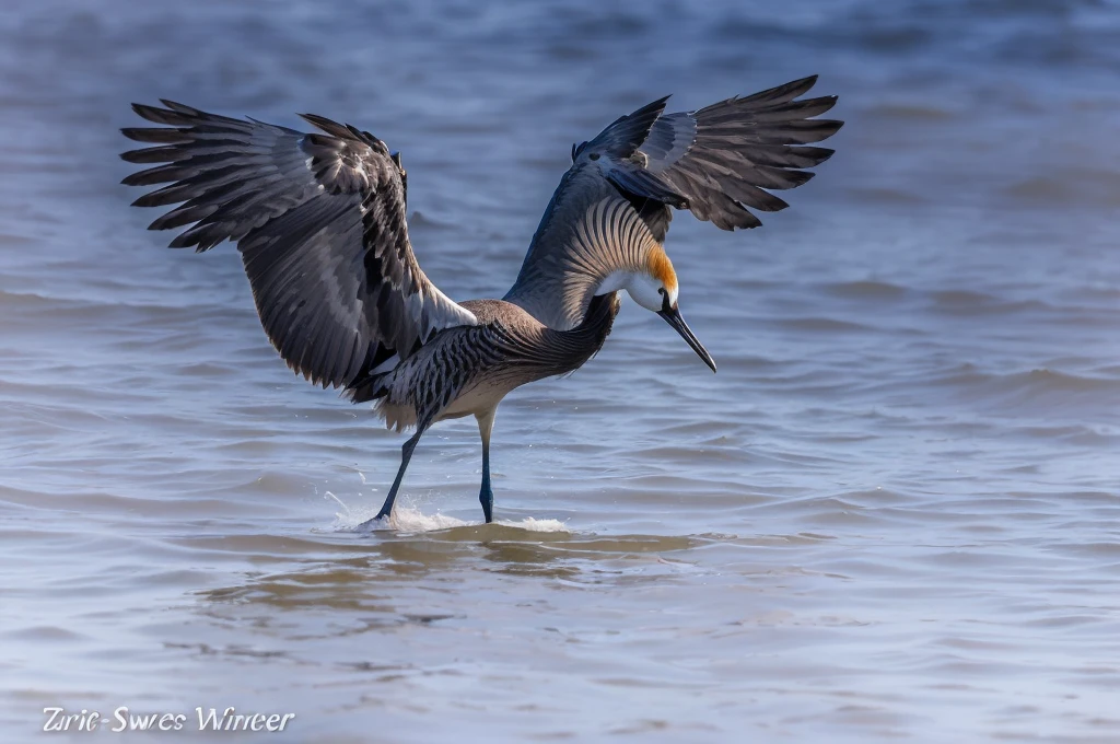 arafed bird with Spread your wings out in the water, With big wings, Spread your wings, Emerge from the water, Spread your wingsing, Spread your wings, He is struggling, Close-up photos, Beautiful and graceful, wispy gigantic wings, By Arnie Swecker, Fierce Battle, Dramatic pose, Flying hair on wings, crane, Spread your wings