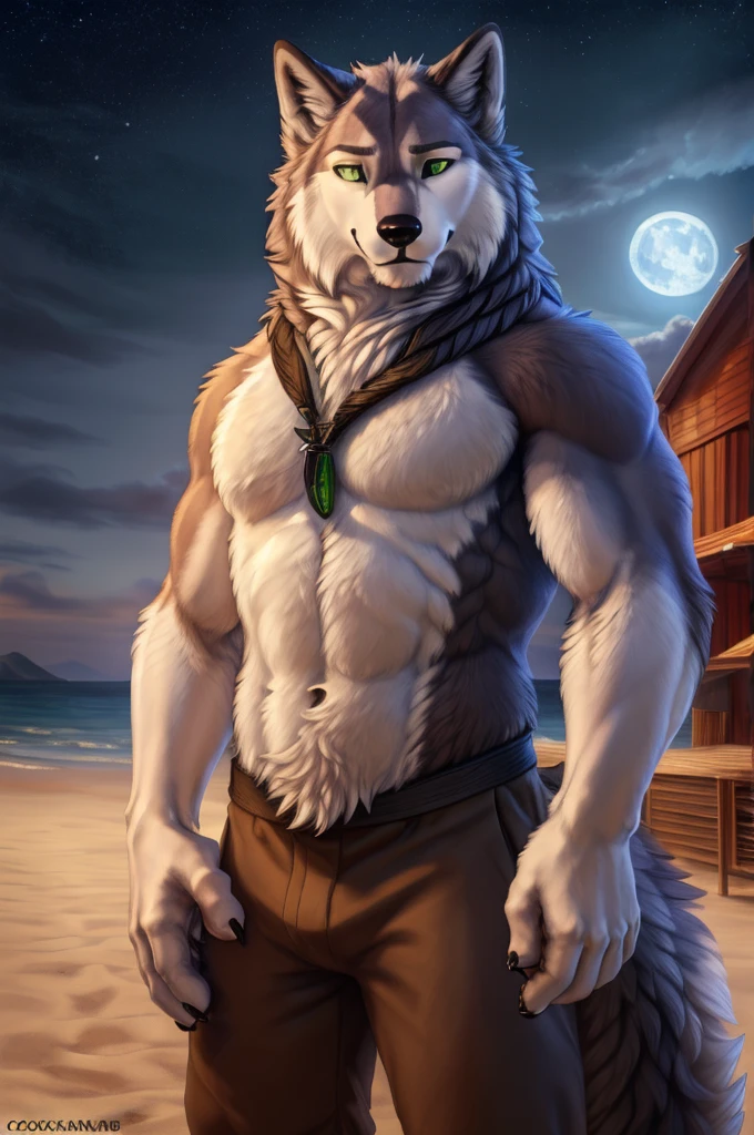 shoichi urata (tennis ace), male, muscular, siberian husky, husky, canid, fluffy, standing, beach, claws, paw, low angle view, long hair, white sclera, green eyes, front view, (by clockhandsat, clockhands,) grey primary fur, white secondary fur, moonlight, moon in background, by virtyalfobo, by anchee, by snowskau, by foxovh, by sabretoothed ermine, (intricate, high detail, film photography, soft focus, RAW candid cinema, photorealism, realistic, photorealistic, analog style, subsurface scattering, masterpiece, best quality, ultra realistic, 8k),