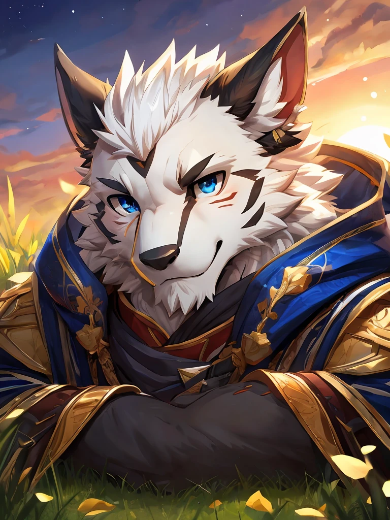 A richly detailed portrait,Depicts a mature male black dragon with striking blue eyes, on the grass,The quiet golden sunset, Dragon has scars on his face,The left ear is missing, its white fur soft and luminous, Exudes wisdom and handsomeness, Pay great attention to the subtle details of the eyes, fur, and facial features, Presented in the highest quality, Carefully crafted by artist sollyz, zixiong, and null_ghost