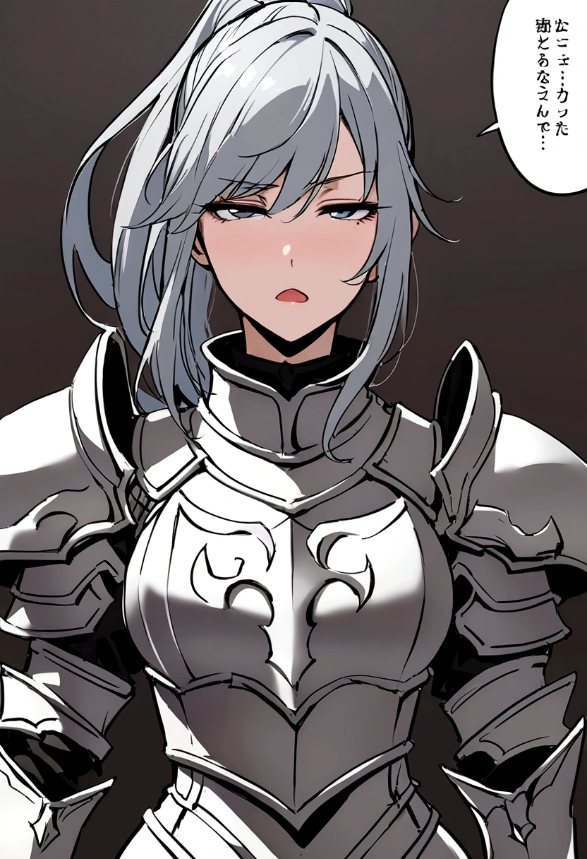 Beautiful girl knight in armor, Gray Hair, tsurime, fantastic, Face your body forward like a certificate photo, shoot from front, Ponytail, Armor Girl, beautiful female knight, Female Paladin, pale blue eyes, narrowed eyes squint, Talking mouth